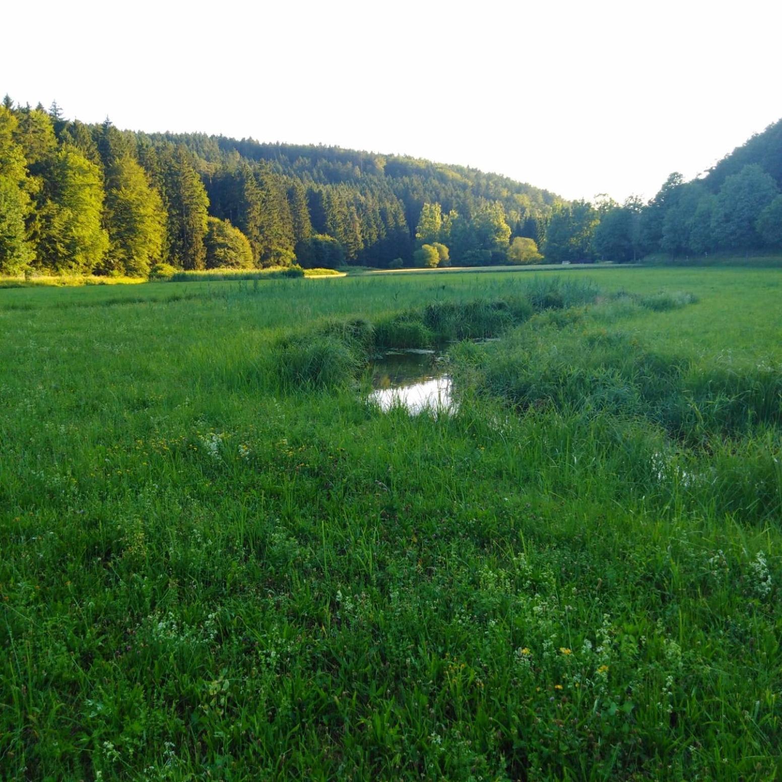 Ferienhaus Am Bach Mit Grossem Garten Deuerling Extérieur photo